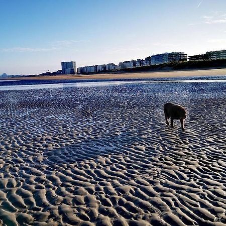 Hhvdk Aan Zee Lejlighed Oostduinkerke Eksteriør billede